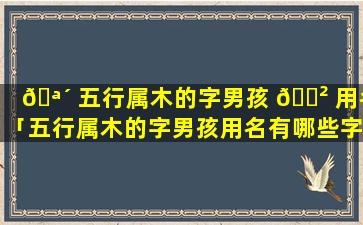 🪴 五行属木的字男孩 🌲 用名「五行属木的字男孩用名有哪些字好听」